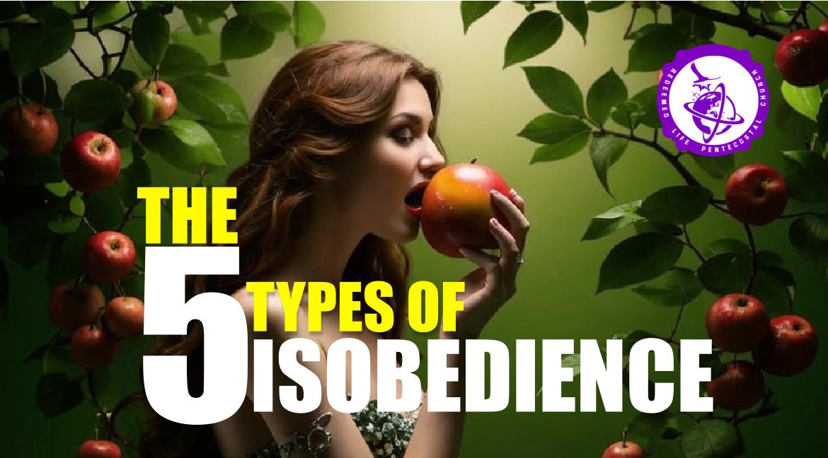 Types of disobedience