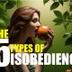 Types of disobedience