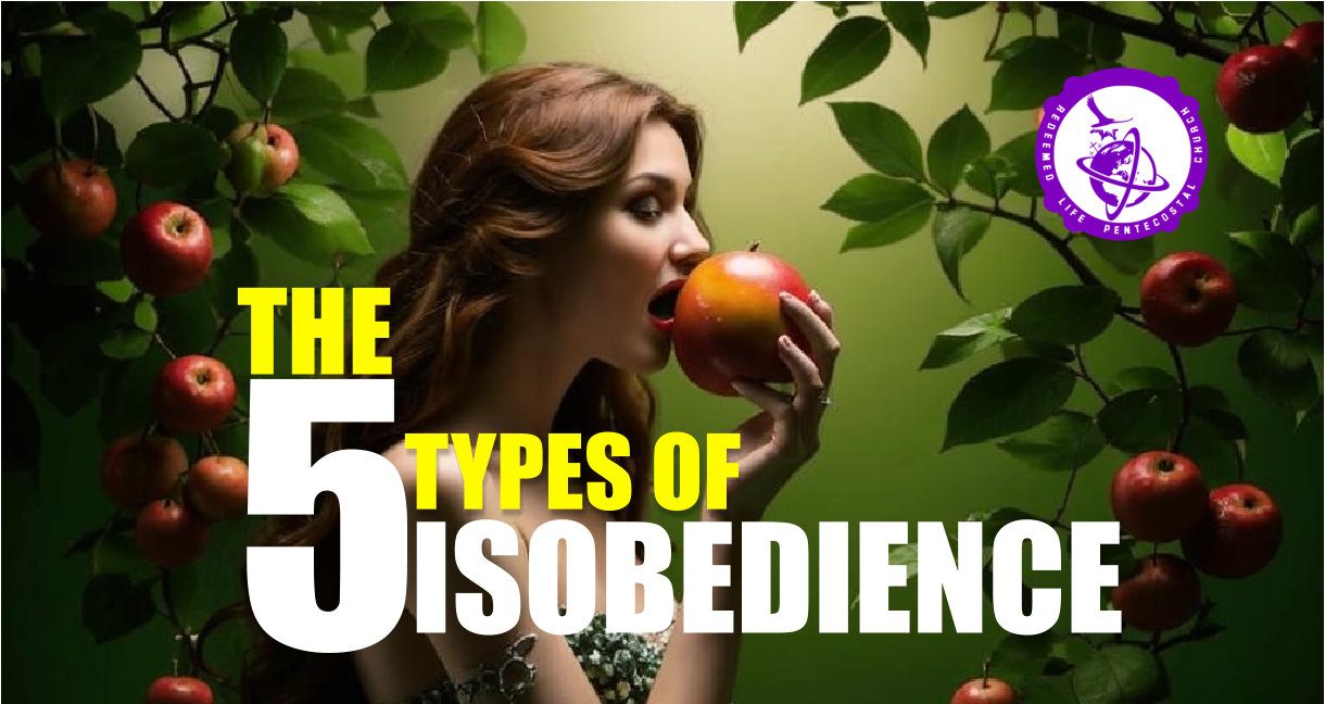 Types of disobedience